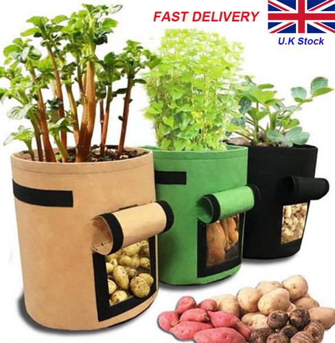 Plant grow bags - bags, potato