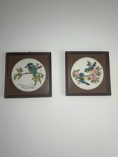 Blue tit birds - blue,
