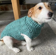 Jack Russell Dog Chunky