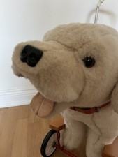 Mulholland and Bailie Labrador