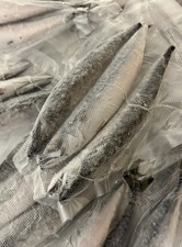 Frozen JOEY MACKEREL - Sea Fishing Bait. 10 Packs of 3 Fish. 