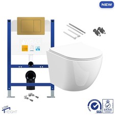 Rimless Wall Hung Toilet Pan &