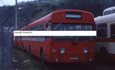 London Transport Bus