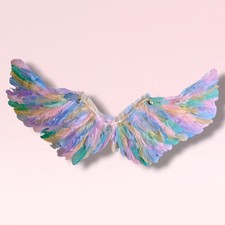 80cm Large Angel Wings Pastel