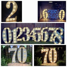 Large Rustic LED 4ft NUMBERS