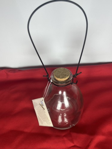Wasp hornet trap clear glass - wasp,