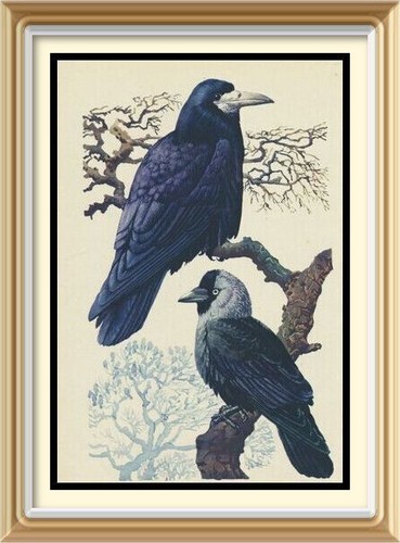 Original old vintage - original,