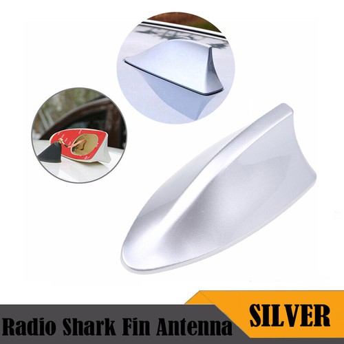 Silver car shark - car,