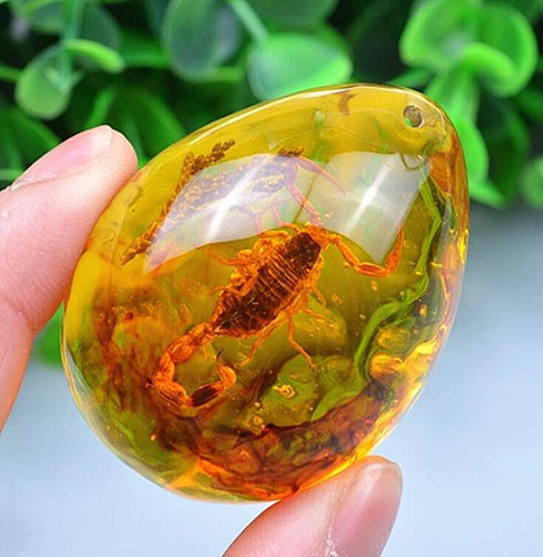 Resin amber insect pendant - amber,