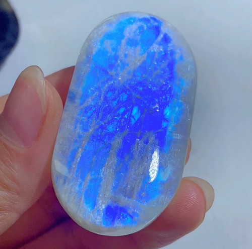 Vivid blue flash white - blue,