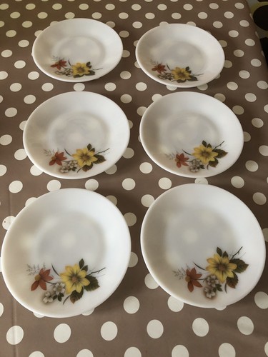 Autumn glory pyrex side - autumn,