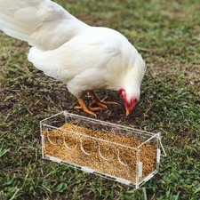  2 Count Bird Food Dispenser