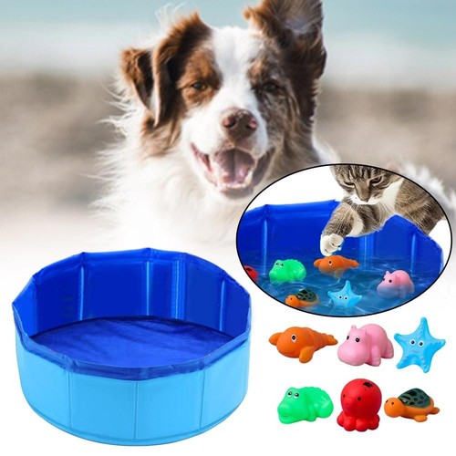 Large pet bath dog swimming - pet,