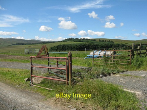 Photo 12x8 gate cattle grid - gate,,