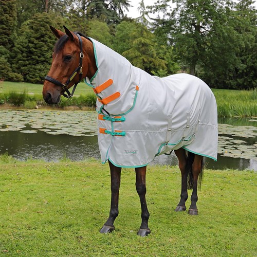 Shires tempest plus horse - shires,