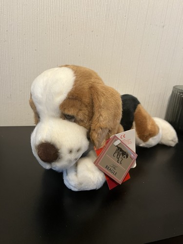 Russ purebred puppies - russ, beagle