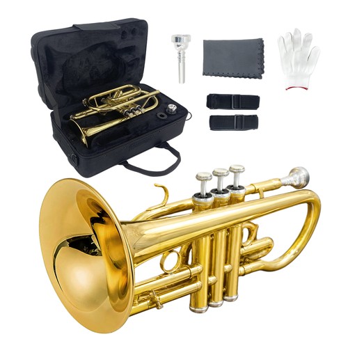 Cornet brass instrument b - cornet,