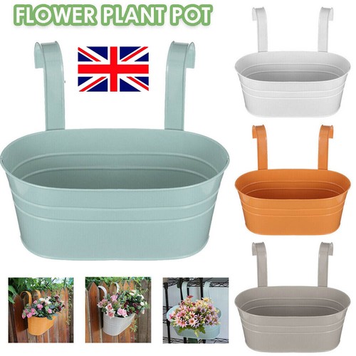 Packs oval metal - oval, plant
