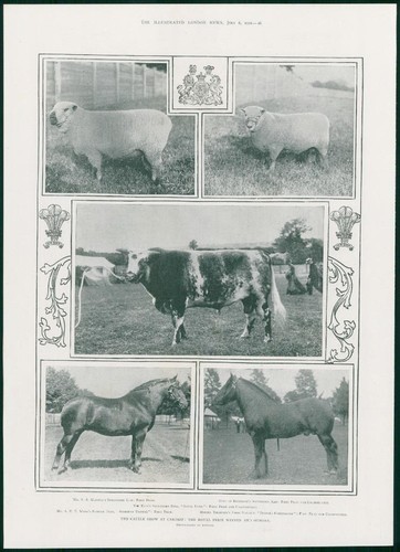 1901 antique print - -, wales