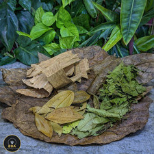 Shrimp Leaf Litter Box –