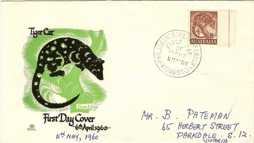Royal cover tiger - cover,