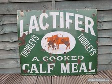 Genuine early lactifer - genuine,
