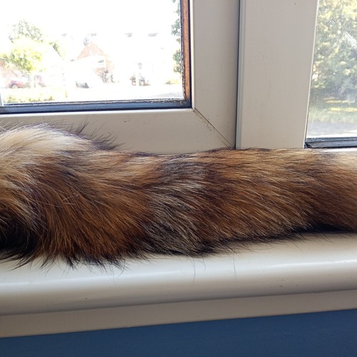 Cross fox tail - fox,
