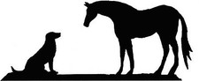 Labrador Dog & Horse