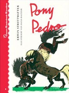 Pony pedro unsere - pedro.,