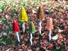 Garden gift toadstool - garden,