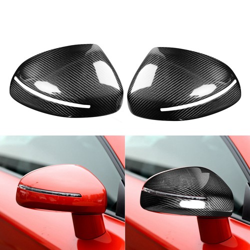 Carbon fiber exterior door - carbon,