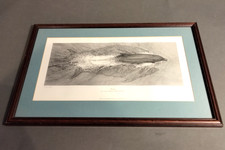 Gary Hodges Signed 'Freedom'