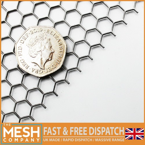 The mesh company - the,