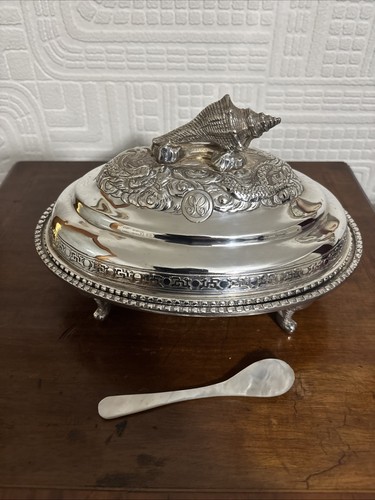 Beautiful anglo indian silver - beautiful,