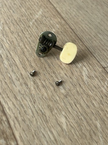 Hofner tuning peg - , tear