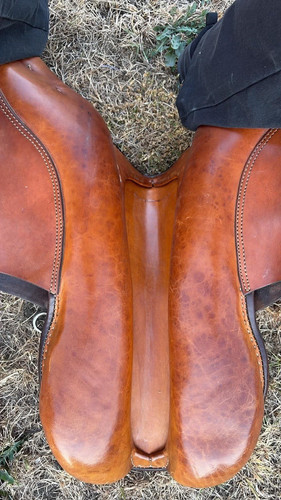 Brown stubben siegfried - stubben,