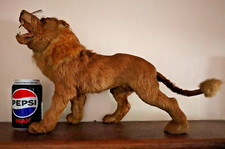 Antique Vintage Lion Miniature Taxidermy Toy Oddity - EBAY Note -NOT A REAL LION