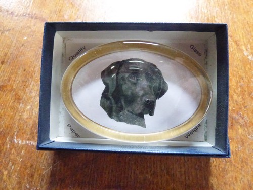 Oval glass paperweight - glass,
