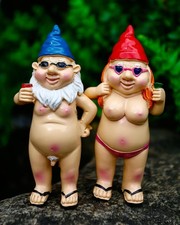 2pcs garden gnomes - garden,