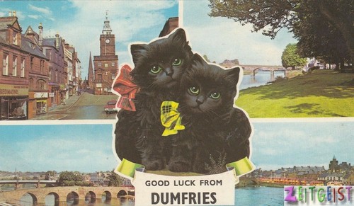 Dumfries multiview with lucky