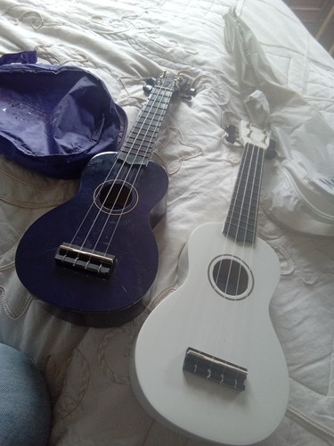 Mahalo ukeleles and cases - 2,