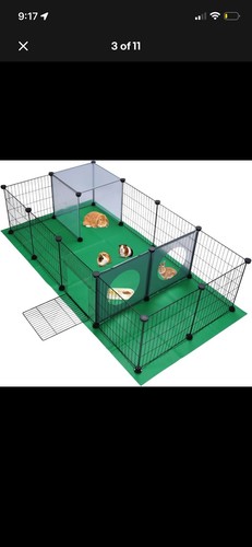 Small animals pet exercise - animals,