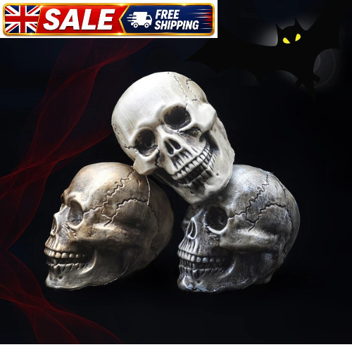 Realistic plastic skull - realistic,