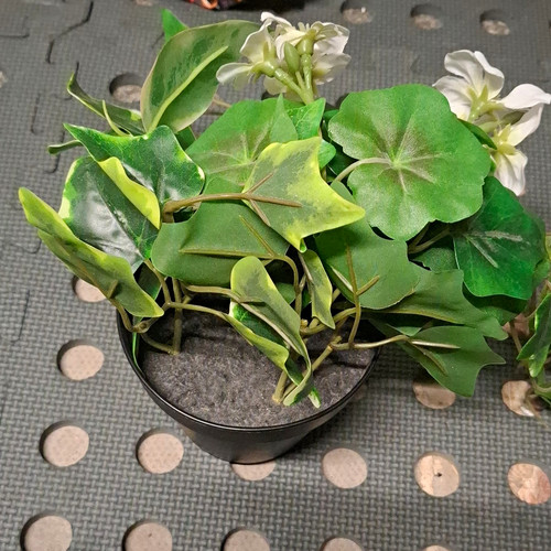 Ikea fejka artificial - ikea, ivy