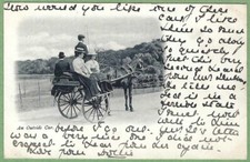 Pony & Trap, an outside car - 1905 printed postcard UDB