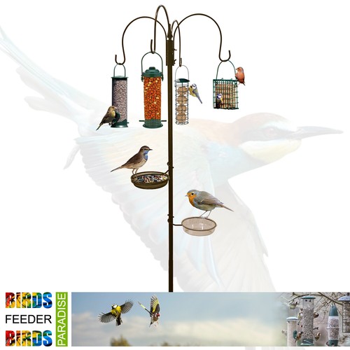 Wild bird feeding - feeding, station