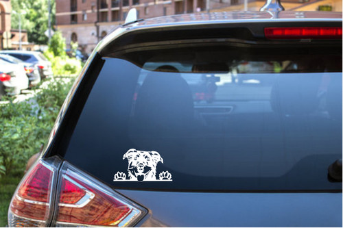Peekaboo beauceron vinyl - peekaboo,