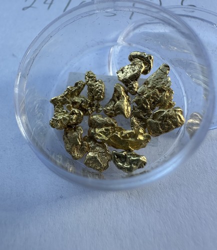 Grams alaskan gold - 5.18,
