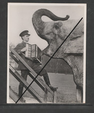 PHOTOGRAPH Whipsnade's Elephant Dixie sings or Yodels - Keeper playing Accordian