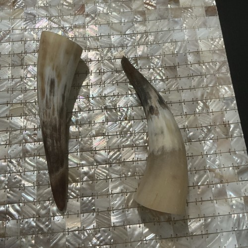 Lot natural horn - a,